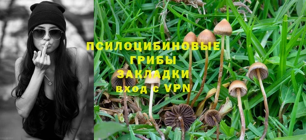 эйфоретик Россошь