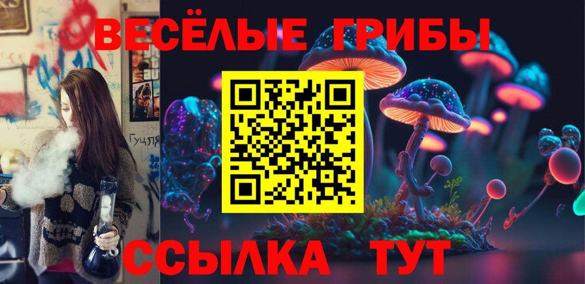 Псилоцибиновые грибы прущие грибы  Галлюциногенные грибы GOLDEN TEACHER  Бахчисарай  Вход с VPN 