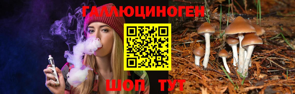 Галлюциногенные грибы Cubensis Бахчисарай